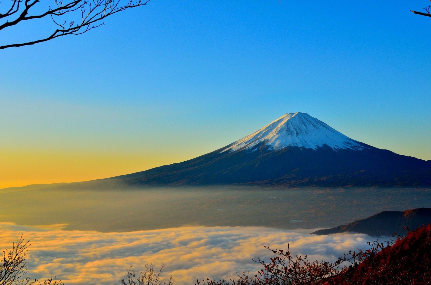 Fund craze in Japan’s enhanced ESG market: selected equity funds