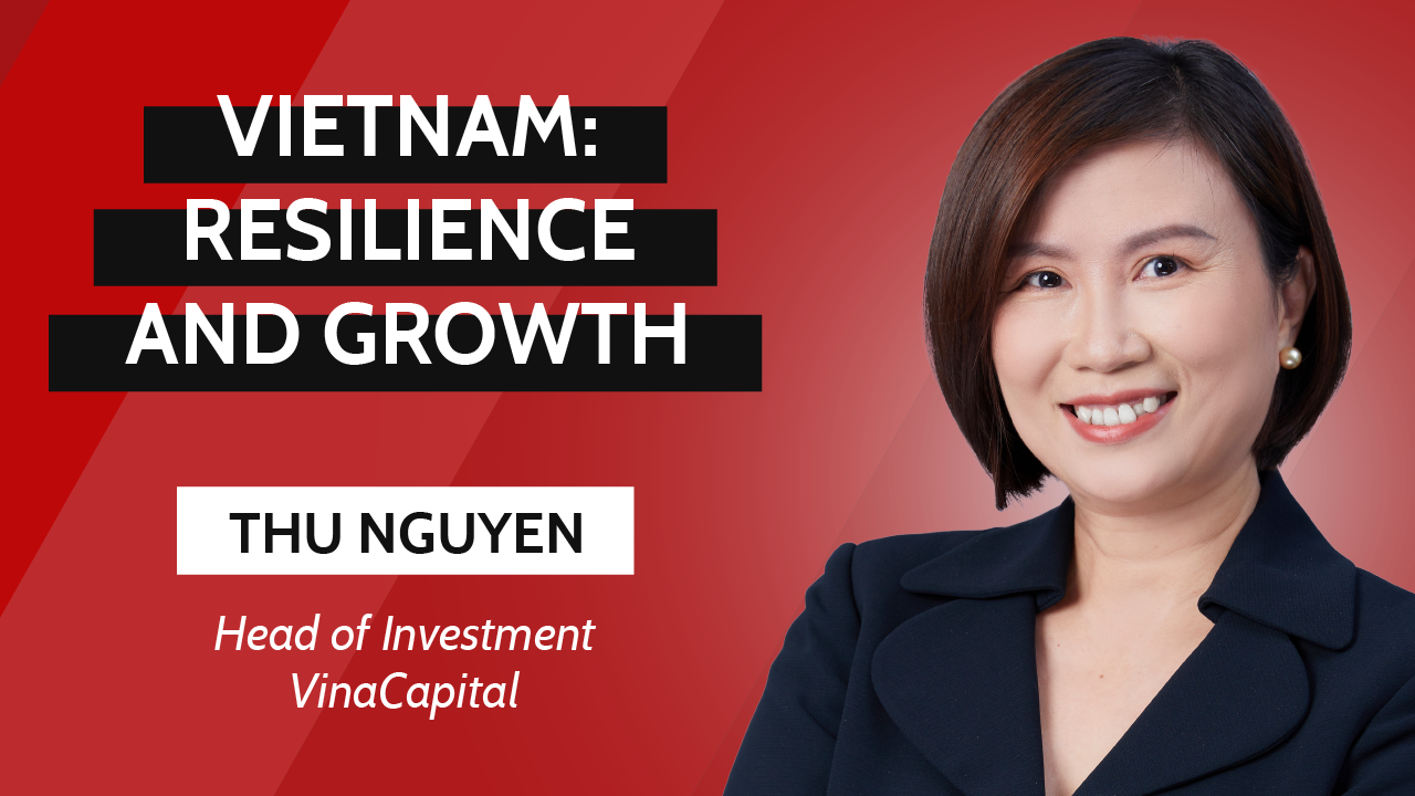 Investing in Vietnam’s resilience and growth