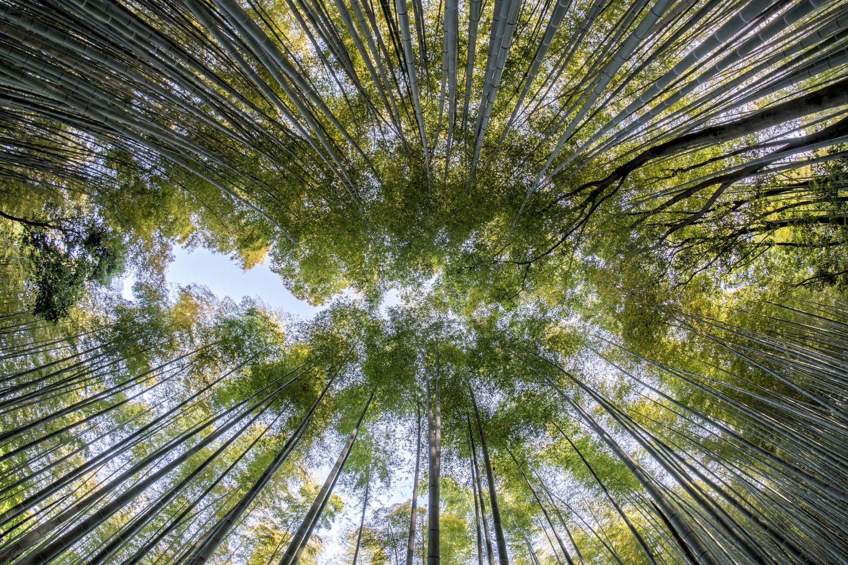 Sustainable investing in Asia: Selected ESG funds