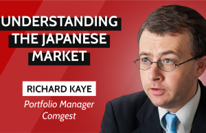 Den japanischen Markt verstehen