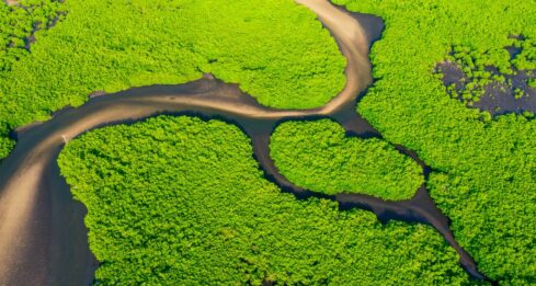 Finding opportunities via Asia sustainability ETFs sustainability etf