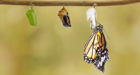 Asian convertible bonds: balancing risk and reward Asian convertible bonds.