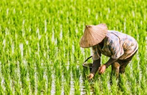 What does the risk of food inflation in Asia imply for investors?